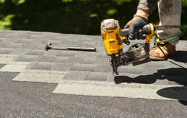 Best Roof Gutter Cleaning  in Independence, LA